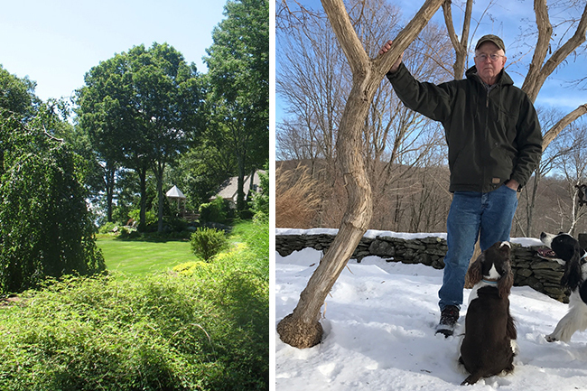 Digging Deeper: An Insider's Tips on Trees